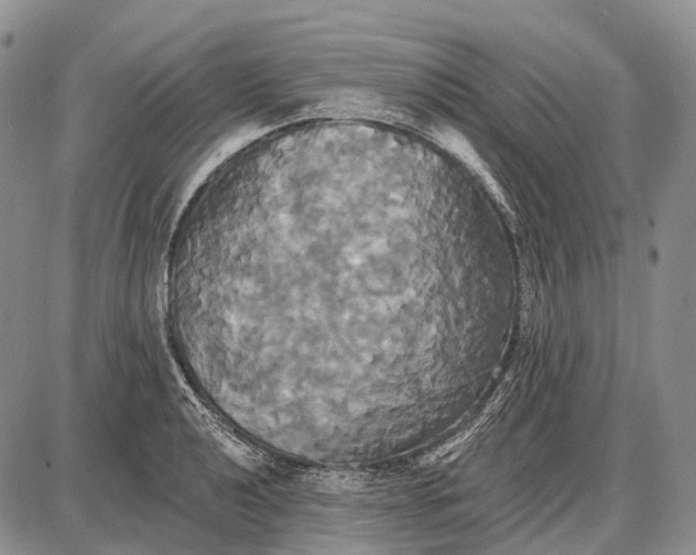 X0000087701040200705181814