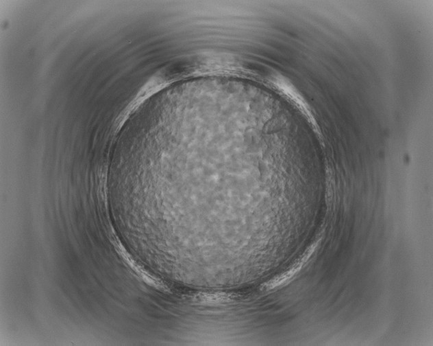 X0000087701041200705181815