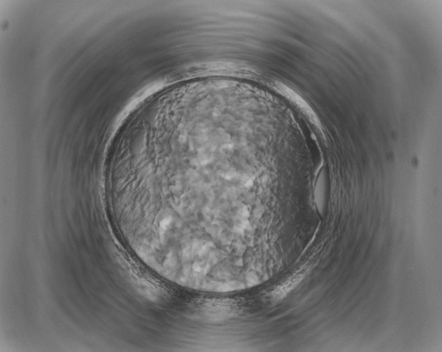 X0000087701043200705181815