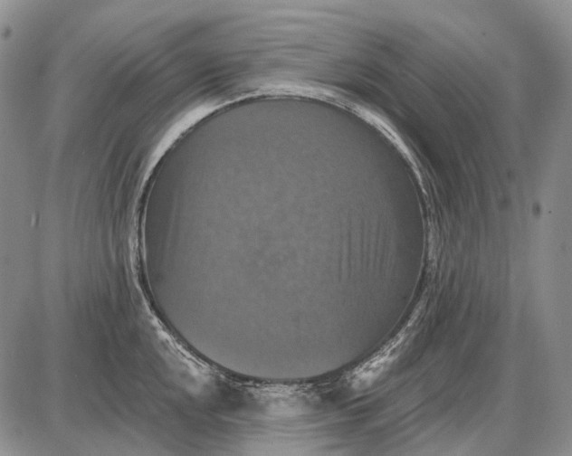 X0000087701048200705181815
