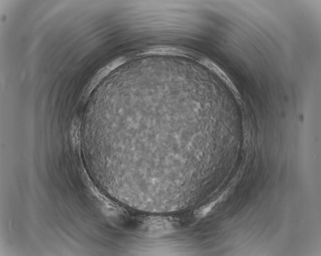 X0000087701049200705181815