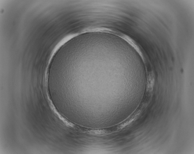 X0000087701053200705181815