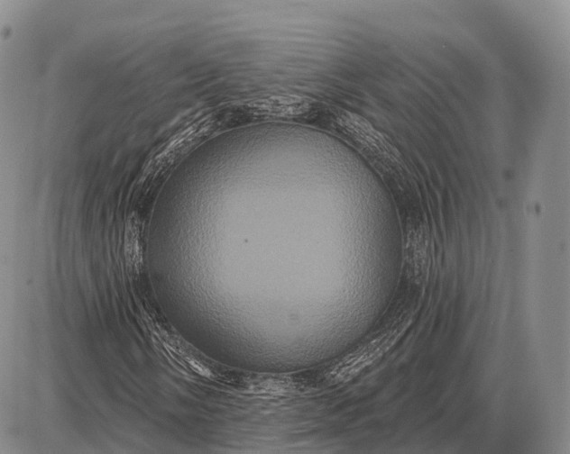 X0000087701058200705181814