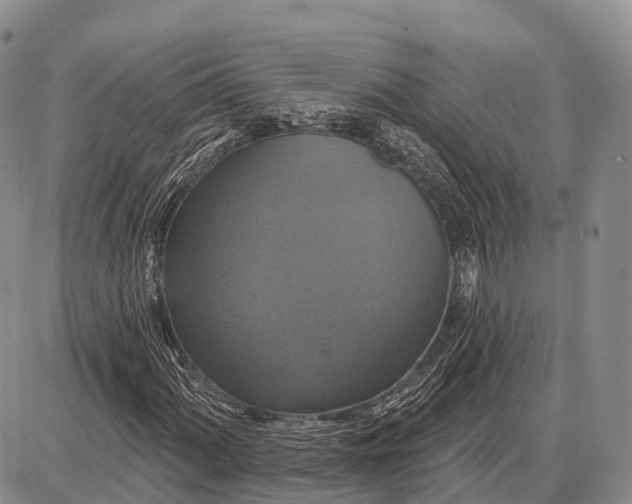 X0000087701060200705181814