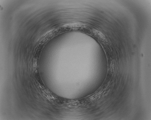 X0000087701062200705181814