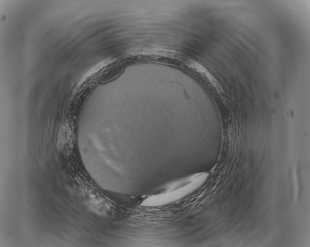 X0000087701064200705181814