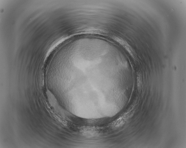 X0000087701069200705181814