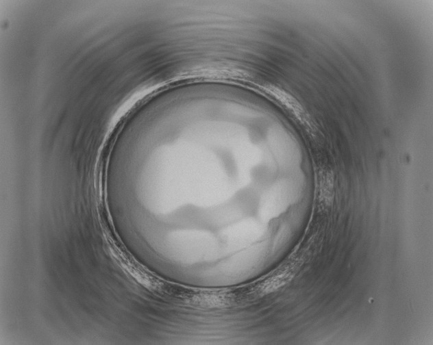 X0000087701078200705181814