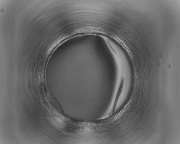 X0000087701081200705181814