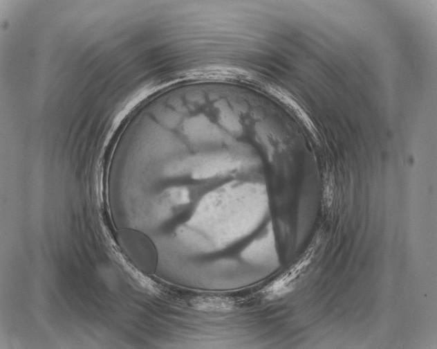 X0000087701083200705181814