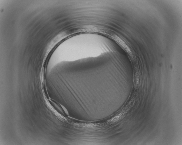 X0000087701084200705181814