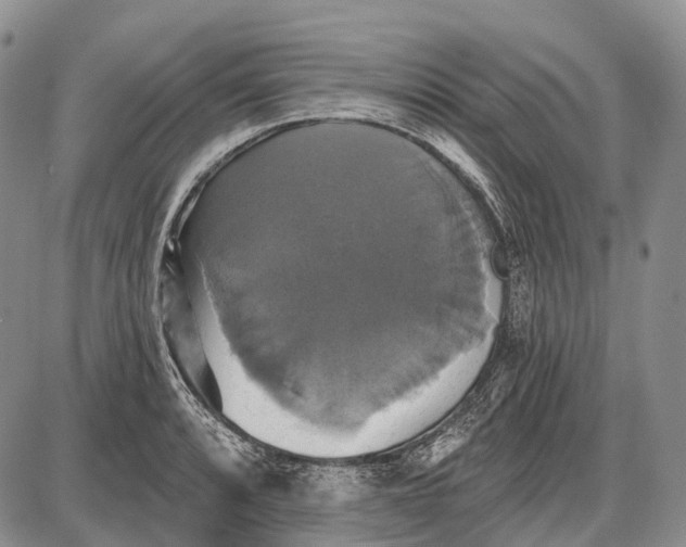 X0000087701088200705181813