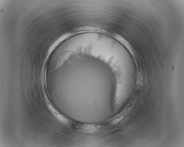 X0000087701098200705181813