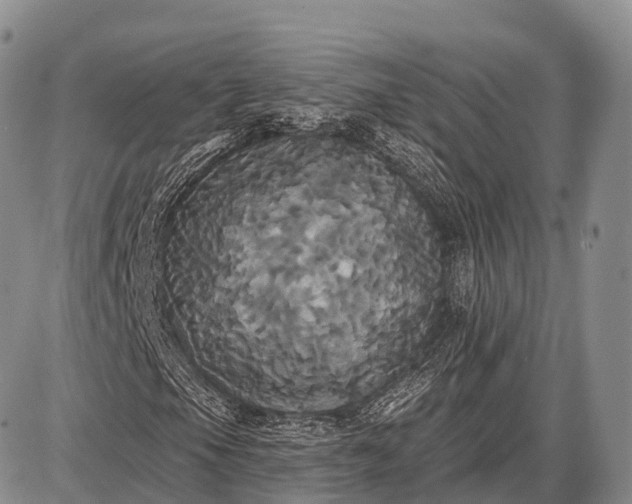 X0000087701105200705181812