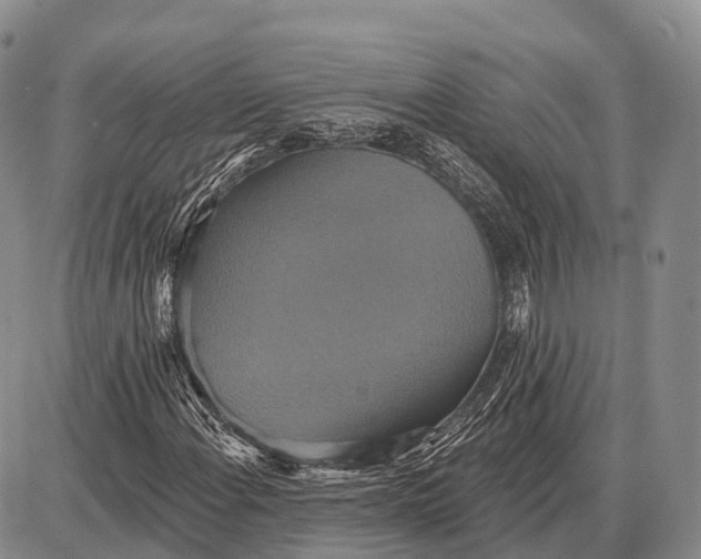 X0000087701108200705181812