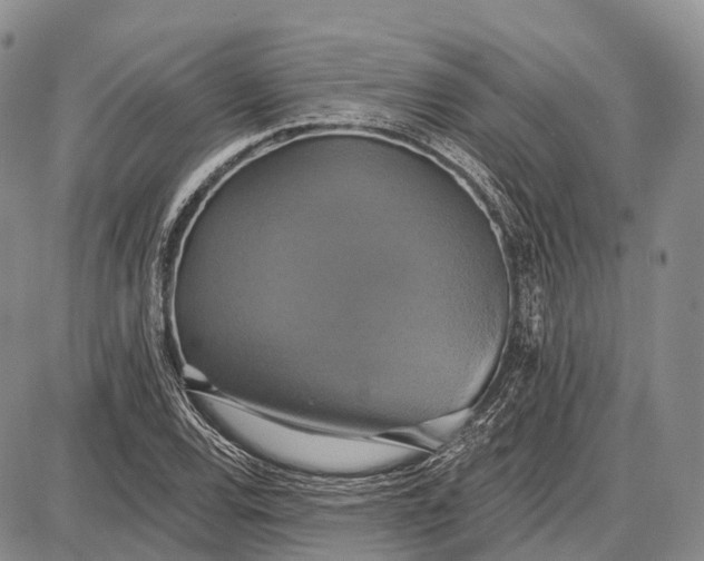 X0000087701120200705181813