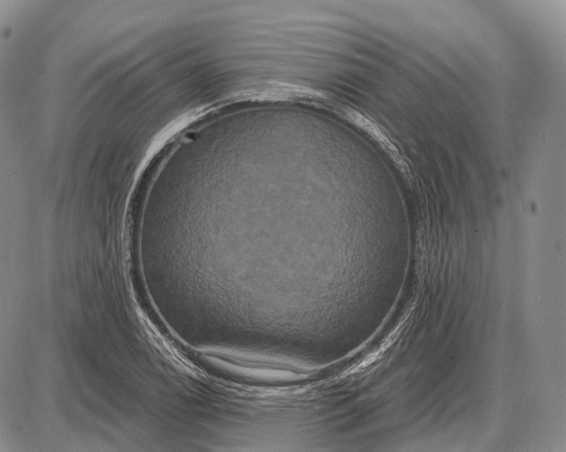 X0000087701122200705181813
