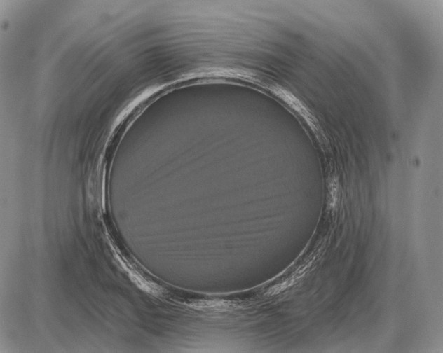 X0000087701127200705181813
