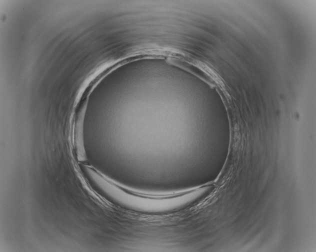 X0000087701128200705181813