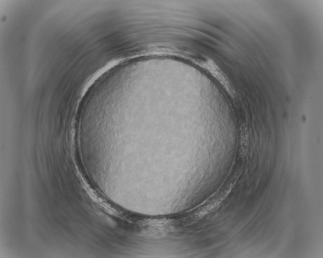 X0000087701134200705181813