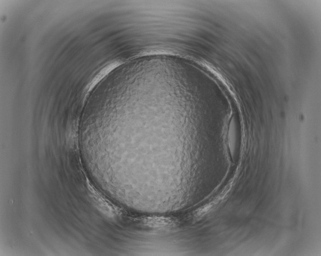 X0000087701137200705181813