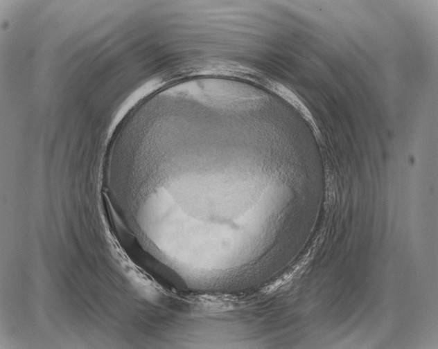 X0000087701138200705181813