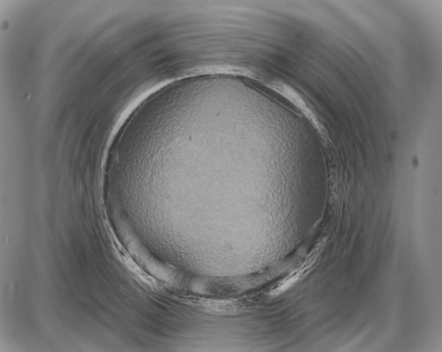 X0000087701140200705181813
