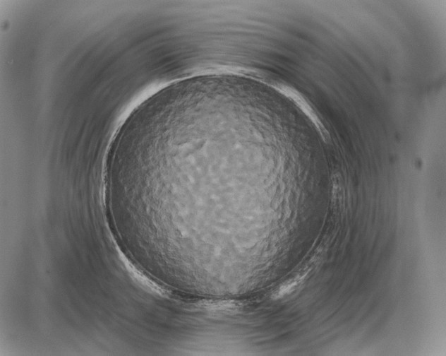 X0000087701143200705181813