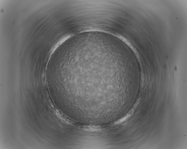 X0000087701145200705181813