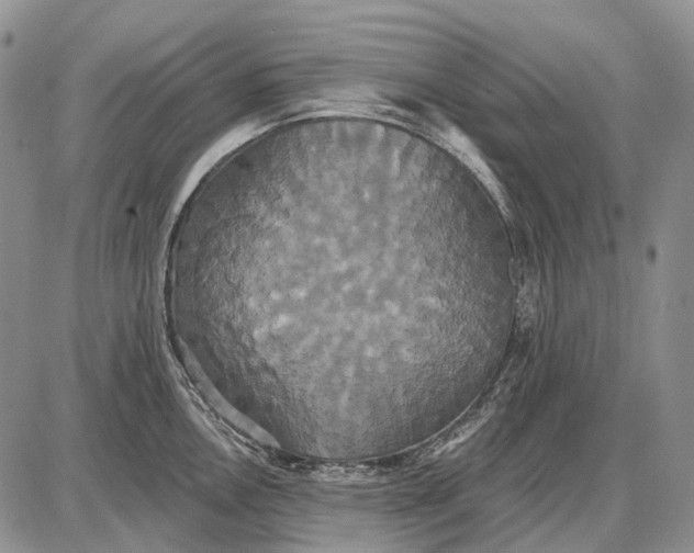 X0000087701146200705181813