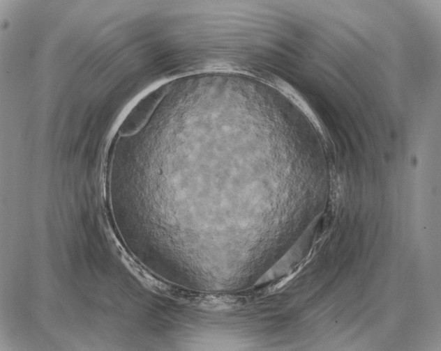 X0000087701148200705181813