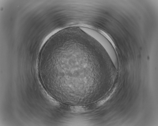 X0000087701149200705181813