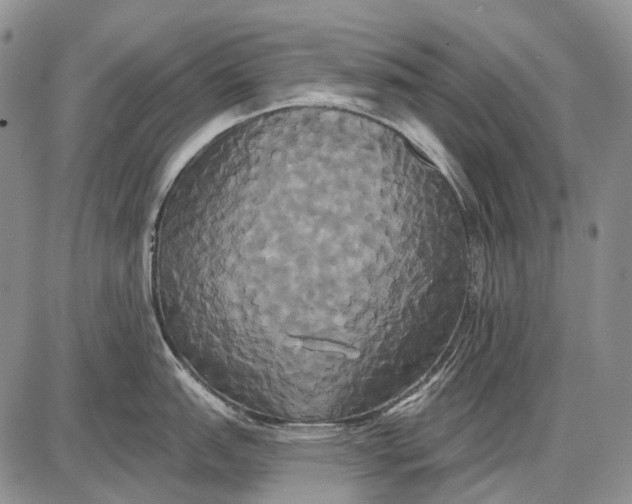 X0000087701151200705181813