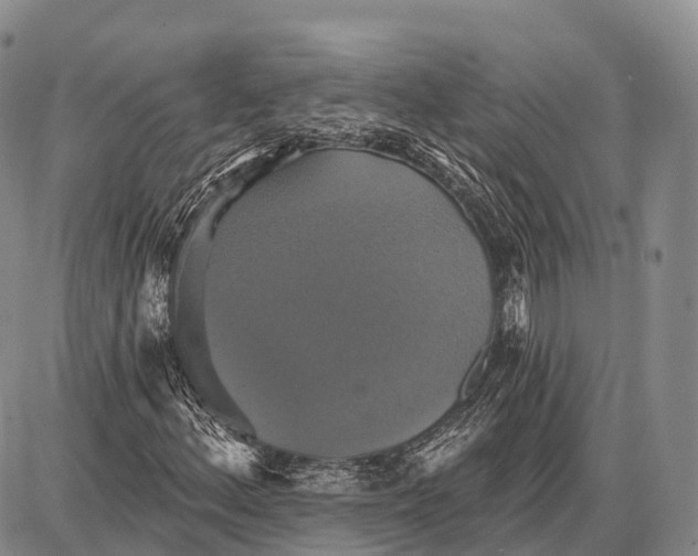 X0000087701156200705181812