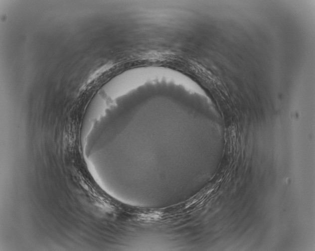 X0000087701158200705181812