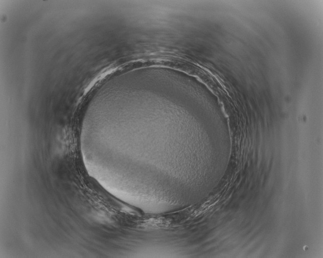 X0000087701160200705181812