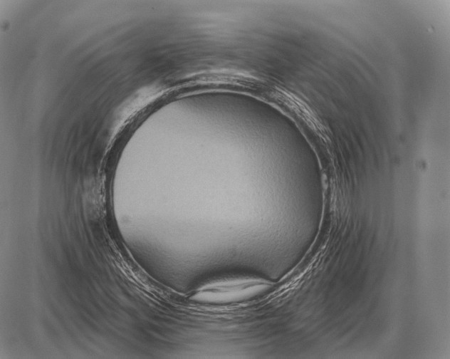 X0000087701164200705181812