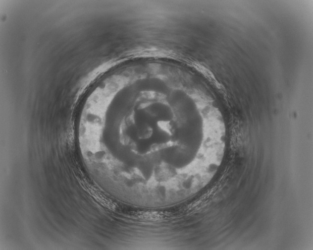 X0000087701167200705181812