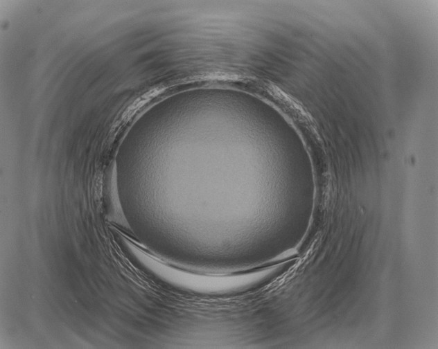 X0000087701169200705181812
