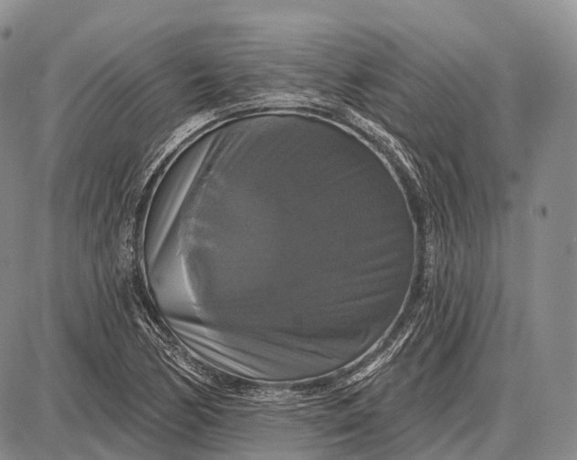 X0000087701170200705181812