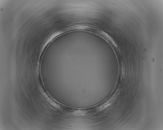 X0000087701178200705181812