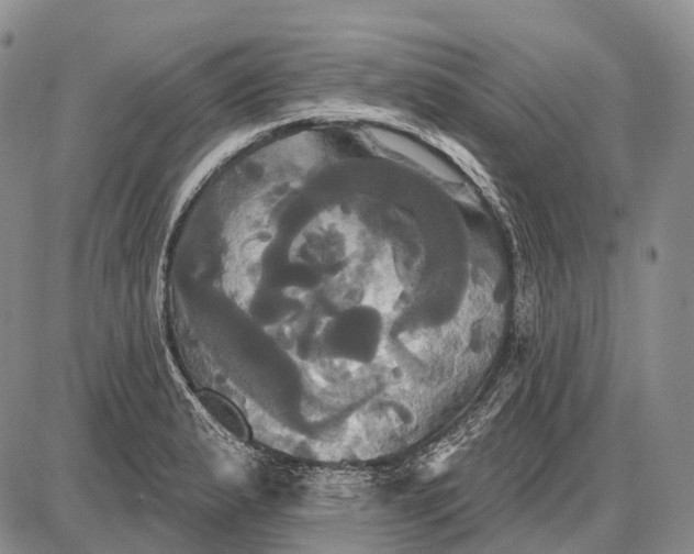 X0000087701183200705181812