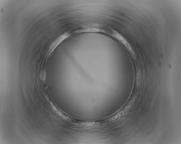 X0000087701193200705181812