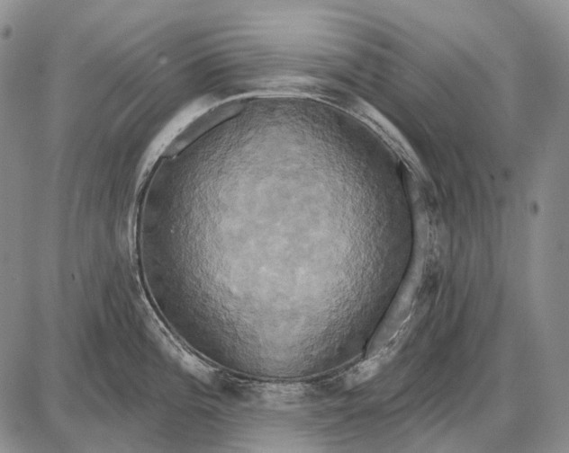 X0000087701196200705181812