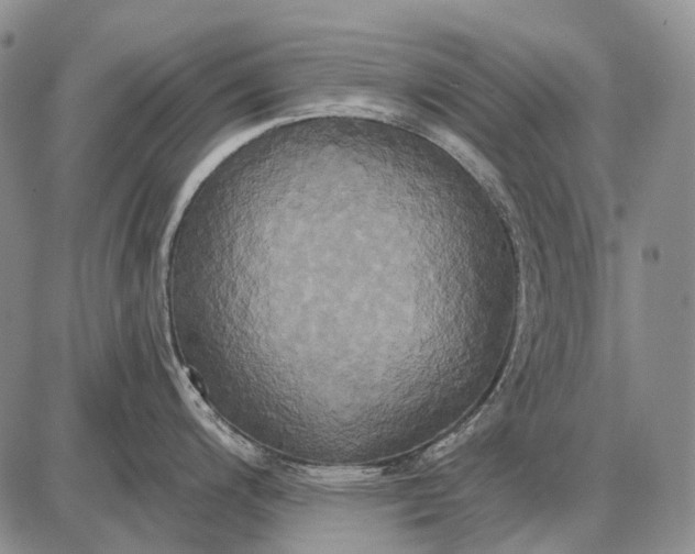 X0000087701200200705181812