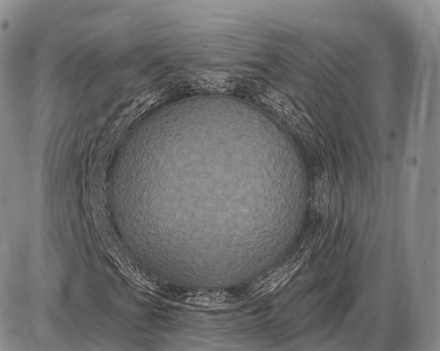 X0000087701201200705181811