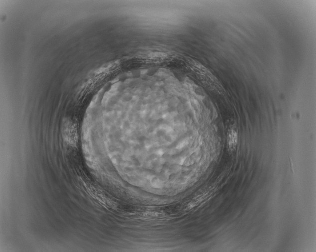 X0000087701204200705181811