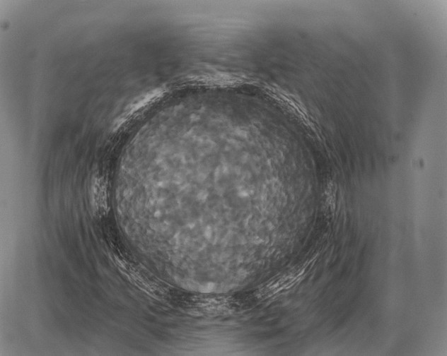 X0000087701205200705181811