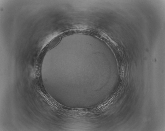 X0000087701208200705181811