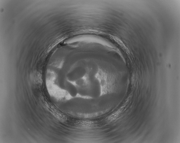 X0000087701209200705181811